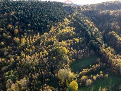 Działka rolna Tarnawa Dolna