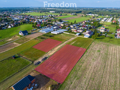 Działka budowlana w Daszewicach blisko Poznania.