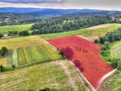 Działka budowlano-rolna - Olszowice, k.Krakowa. Pow: 1,6 ha