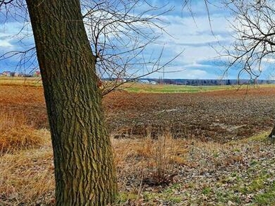 Działka inwestycyjna w Zemborzycach Kościelnych