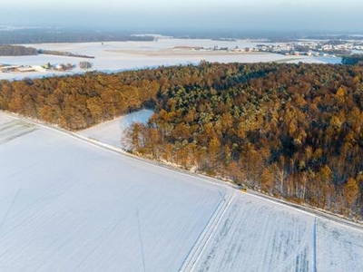 Działka leśna Łagiewniki Wielkie gm. Pawonków,