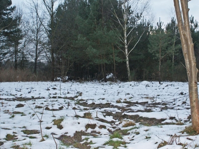 Działka na sprzedaż, Grodziski, Żabia Wola