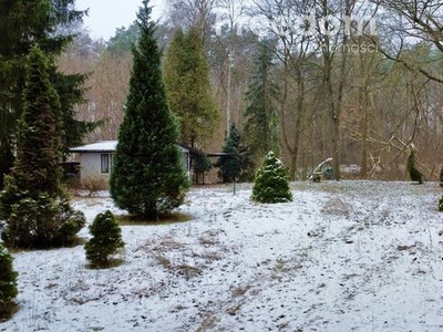 Działka pod rekreację własną lub budowę domu