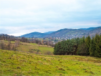 Działka Sprzedaż Stryszawa, Polska