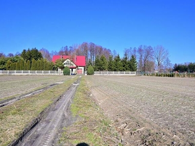 Kępa Borzechowska - 26 arów. OKAZJA!!!