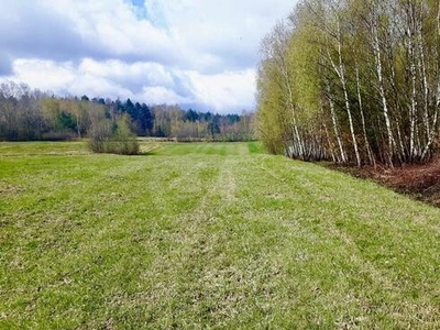 Piękna działka w Masłowie Na sprzedaż!