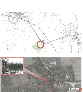 Syndyk upadłości sprzeda 1/2 nieruchomości w Olszynce