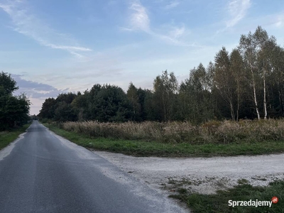 Wyjątkowe działki budowlane blisko lasu