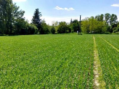 Działka rolno-budowlana. Dębowiec 8 km od Zamościa