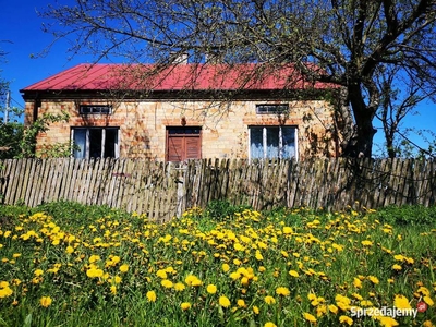 Dom 85m2 + poddasze, działka 2254 m2, ok Płońska