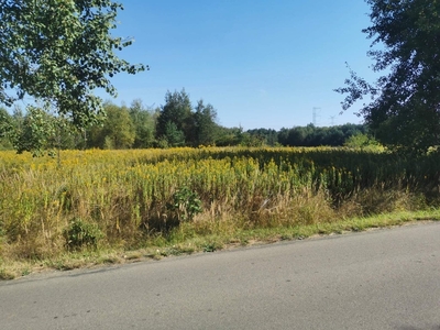 Działka budowlana Stare Żukowice