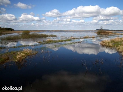 Działka nad zalewem Siemianówka