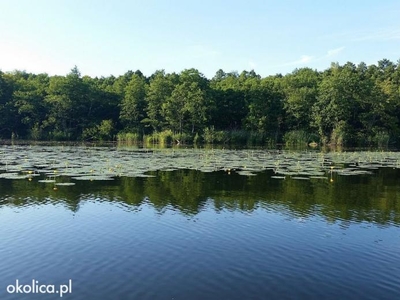 Szlak Wielkich Jezior Twoja Działka Marzeń