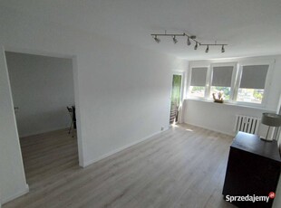 2pok, 33met, Okolice Borowskiej BALKON/WINDA/2016 (Wrocław)