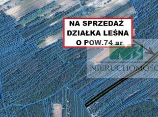 DO SPRZEDAŻY DZIAŁKA LEŚNA W JELNEJ