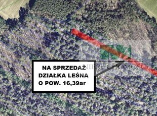 DO SPRZEDAŻY DZIAŁKI LEŚNE