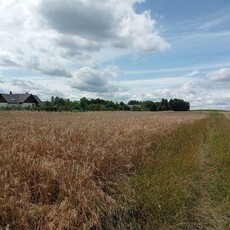 Działka budowlana Skrzeszewo gm. Żukowo