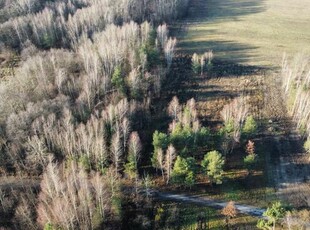 Działka inwestycyjna Wycinki Osowskie gm. Żabia Wola, Brzozowa