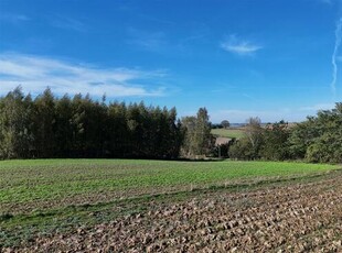 Działka rekreacyjna Koszyce Jaksice, Jaksice