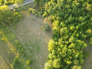 Działka rolna Nowe Miasto nad Pilicą Pobiedna