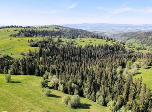 Działka rolno-budowlana Łapszanka gm. Łapsze Niżne