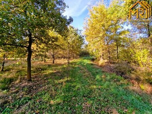 Działka rolno-budowlana Sutków gm. Dąbrowa Tarnowska