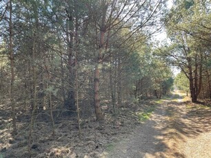 Działki budowlane w lesie niedaleko Bugu-Arciechów