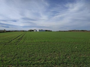 Działki rolne na terenach o przeznaczeniu przemysłowym