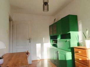 pokój dla studenta od zaraz/ room to let Muchobór Mały