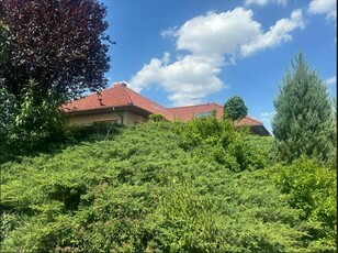 Syndyk sprzeda duży dom jednorodzinny