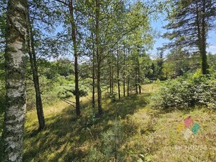 Urocza działka, jezioro, las, pozwolenie na budowę