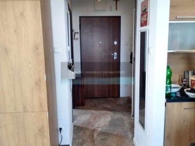 Apartament, ul. Jana Kazimierza