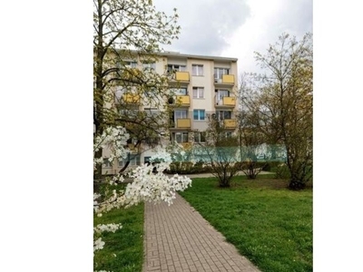 Mieszkanie na sprzedaż 36,00 m², piętro 1, oferta nr 47197/4508/OMS