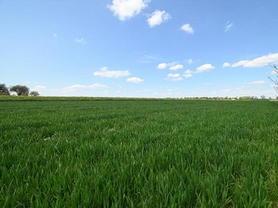 PODOLE - Działka budowlana o powierzchni 13,4 arów.