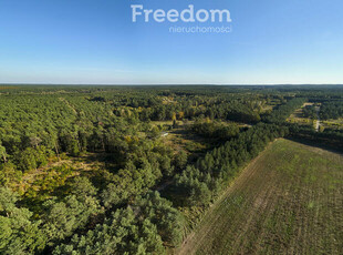 Działka inwest. - budowlana, Trzaskowo k. Poznania