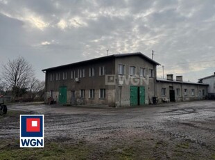 Magazyn na sprzedaż Witoszyn