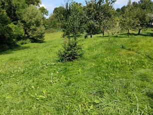 Sprzedam działkę budowlaną w Pokrzywnicy ul. Głogowska