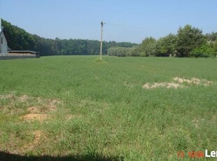 Sprzedam działkę rolno budowlaną o pow. 1,06 ha Poddębice