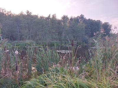 Działka budowlana Kretowiny