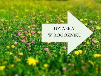 Działka budowlana Rogoźnik