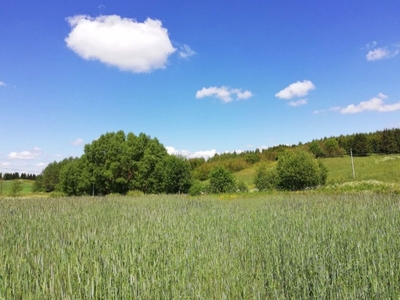 Działka budowlana ze stawem 1,3ha Lidzbark Warmiński UZDROWISKO