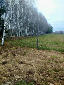 Działka pow. 1,43 ha Piszczac Pierwszy