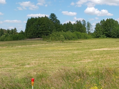 Działka z warunkami zabudowy 1000m Skrybicze