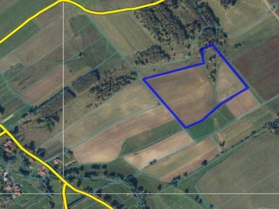 Syndyk sprzeda nieruchomość rolną w Krzeszówku (4,66 ha)