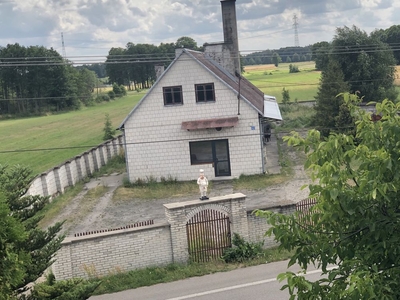 Wydzierżawię piekarnię w Obierwii piekarnia wynajem