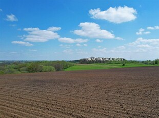 Michałowice (gw) Młodziejowice , 30 420,00 m