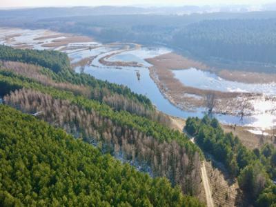 Świecie Brzozie Brodnicki KujawskoPomorskie Biuro Nieruchomości