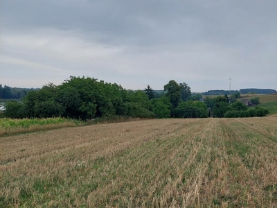 Działka budowlana Jarczechowo