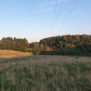 Działka budowlana z widokiem na lasy - idealna lokalizacja przy Stolicy Kaszub