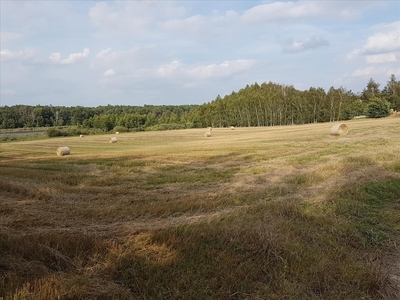 Działka na sprzedaż, Poznański, Stęszew gm, Wielka Wieś